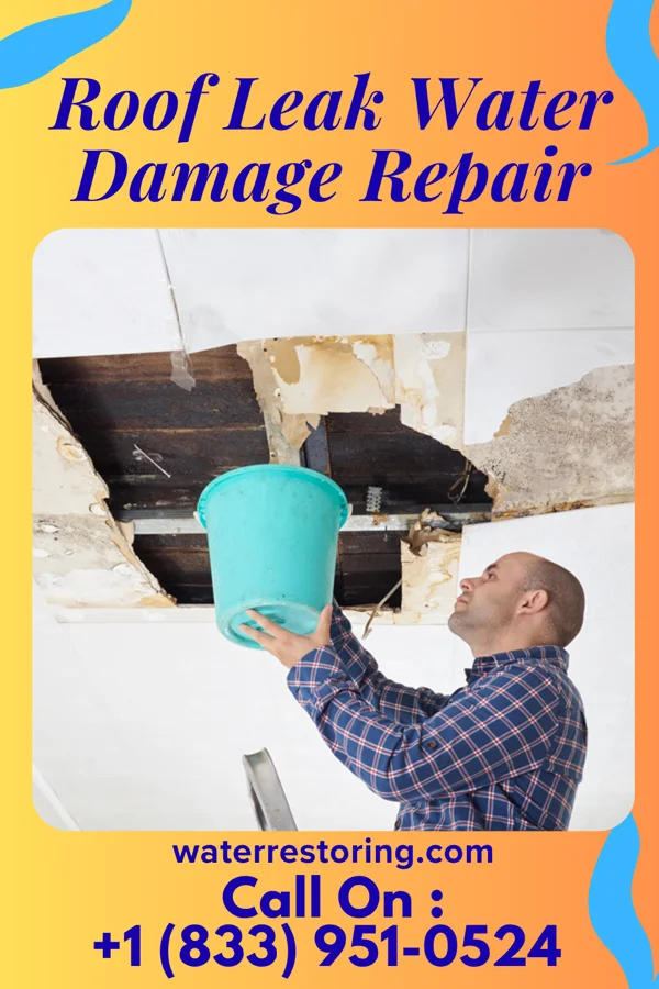 Roof Leak Water Damage Repair in Quitman, GA